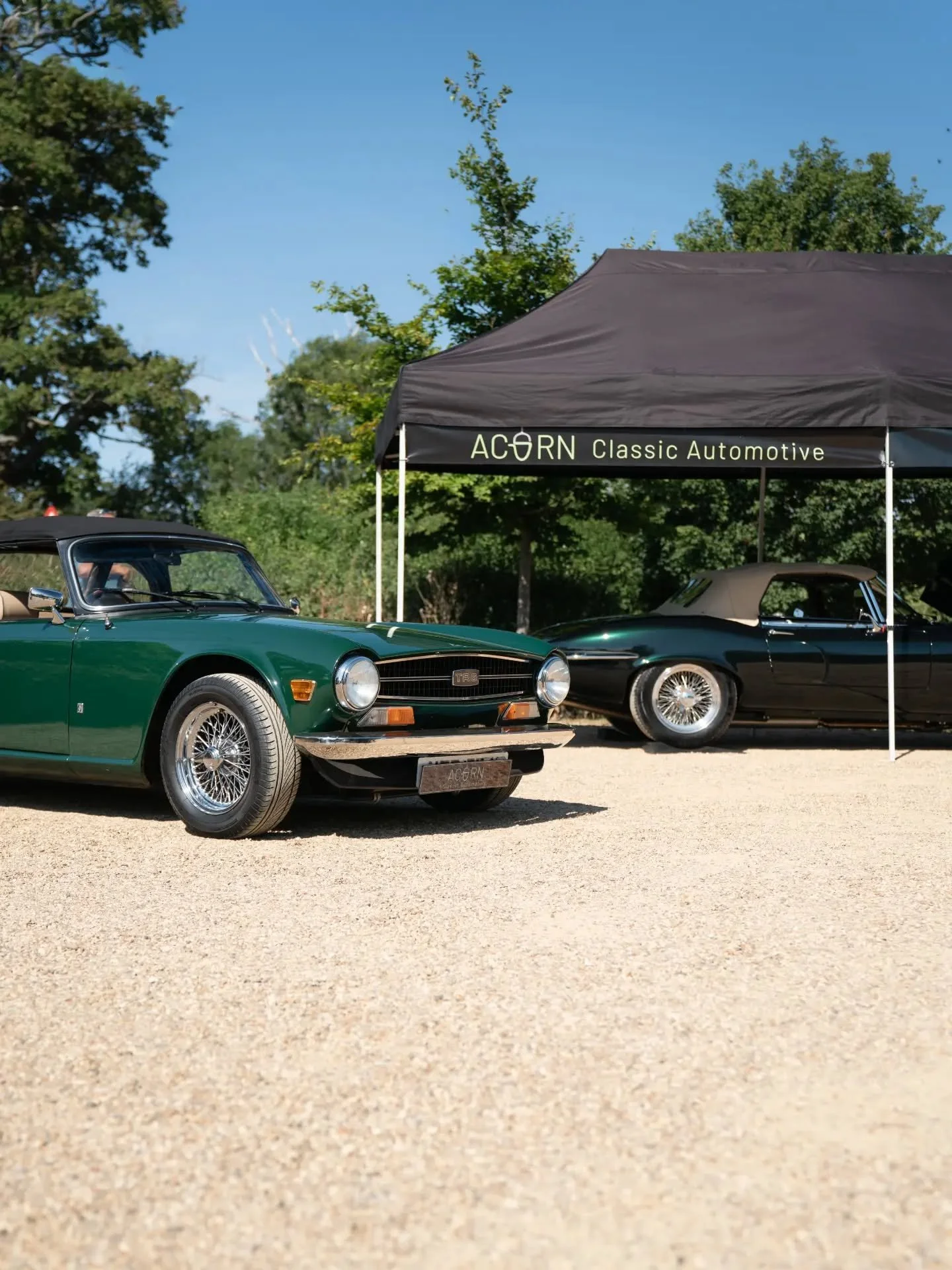 Our next Acorn @ The Akeman is upon us, this Saturday.
29th August.
Here is a selection of the brilliant variety that joined us last month.
.
.
.
#carmeet #carsandcoffee #automotivephotography #vehiclestorage #classiccar
