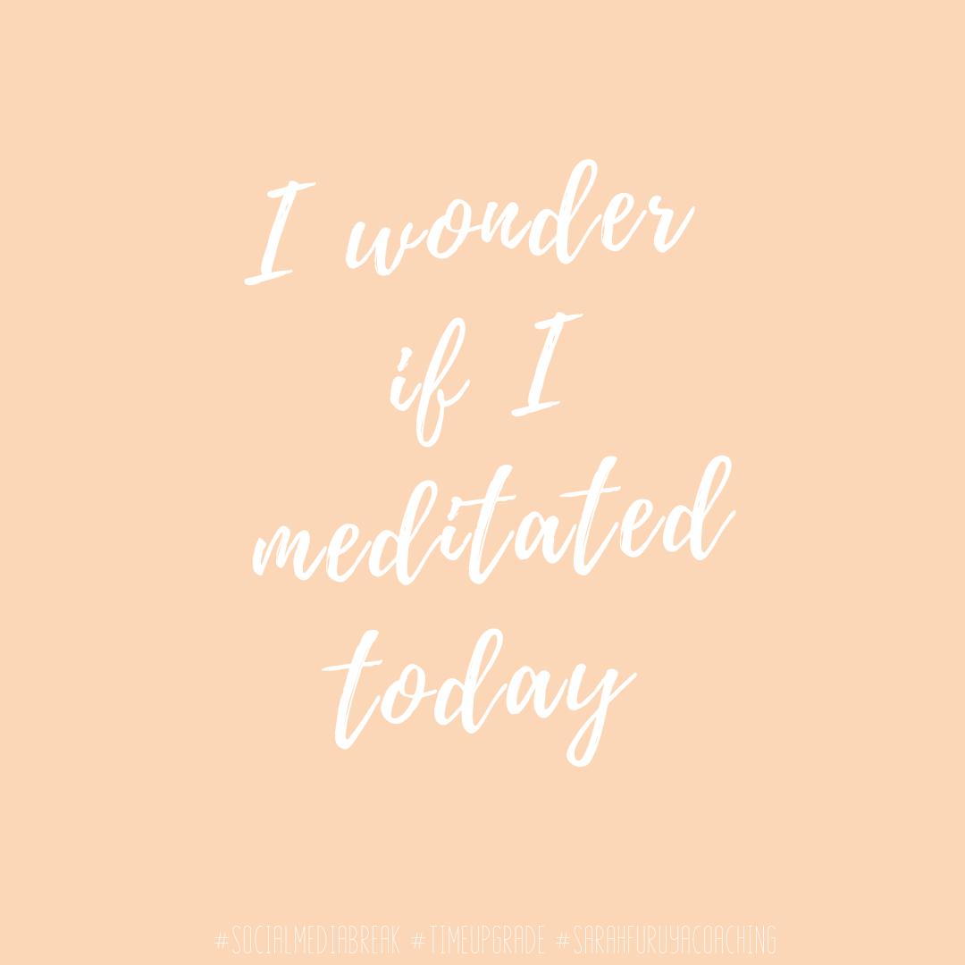 I wonder if I meditated today...
