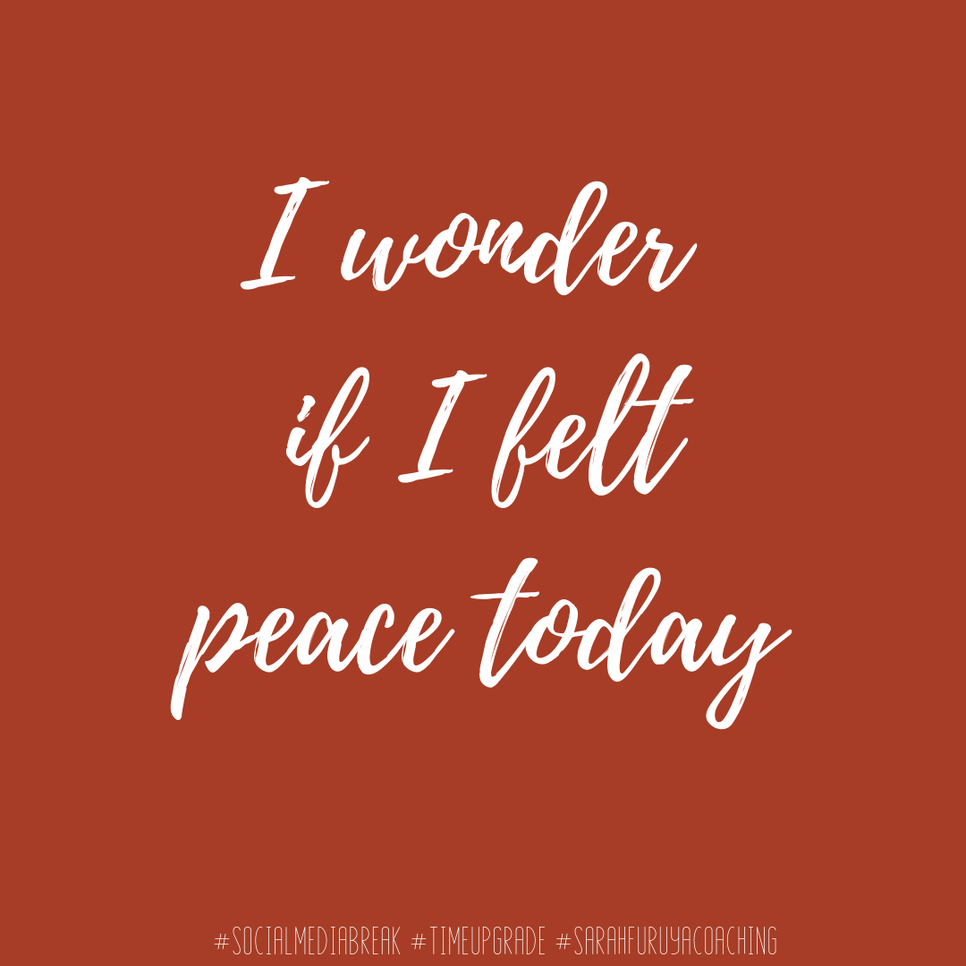 I wonder if I felt peace today...