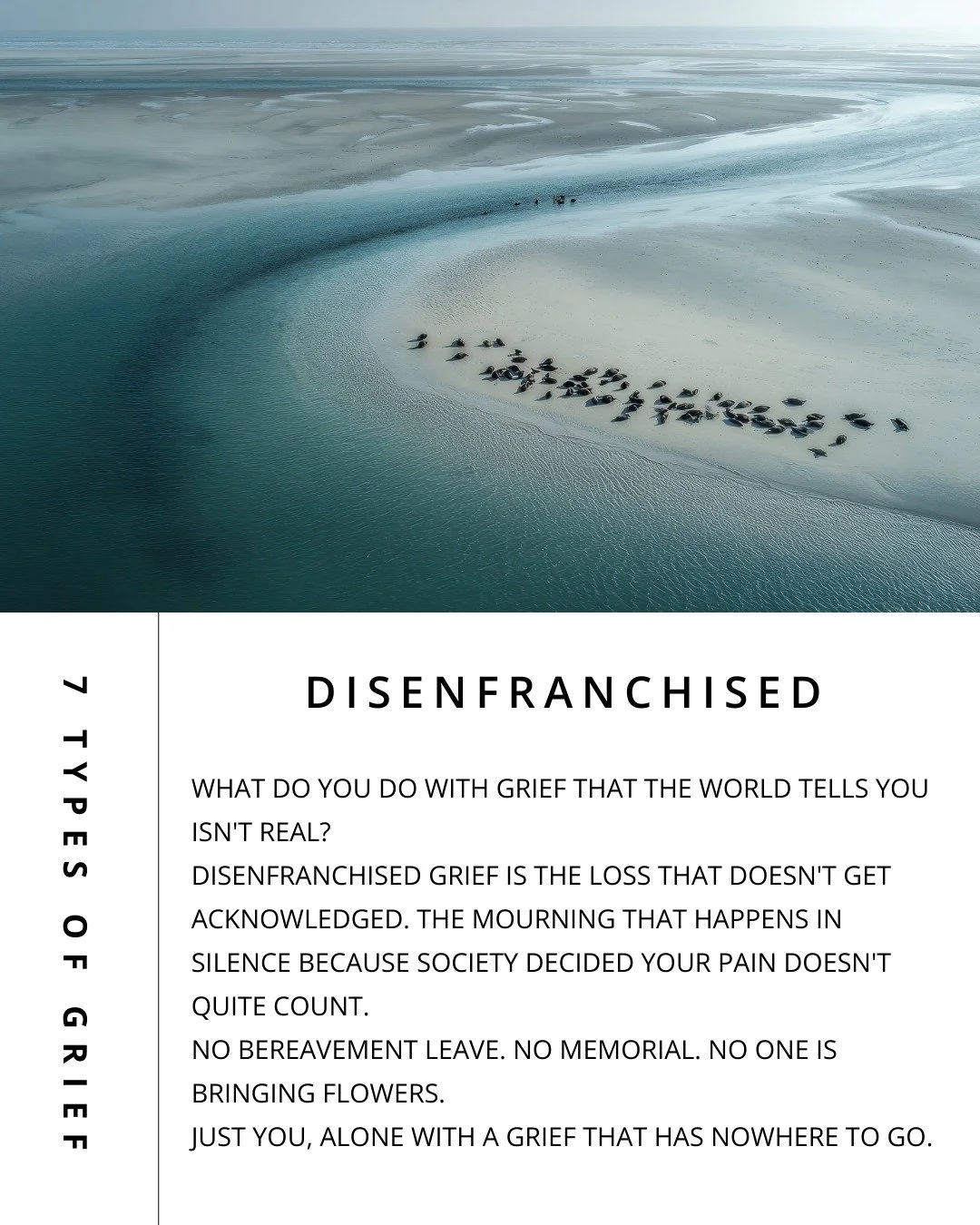 💭Did you know there are 7 types of grief?💭

Grief is not one size fits all. It shows up in many ways, and every experience is valid.

Disenfranchised grief is the loss that doesn't get acknowledged. 

The mourning that happens in silence because so