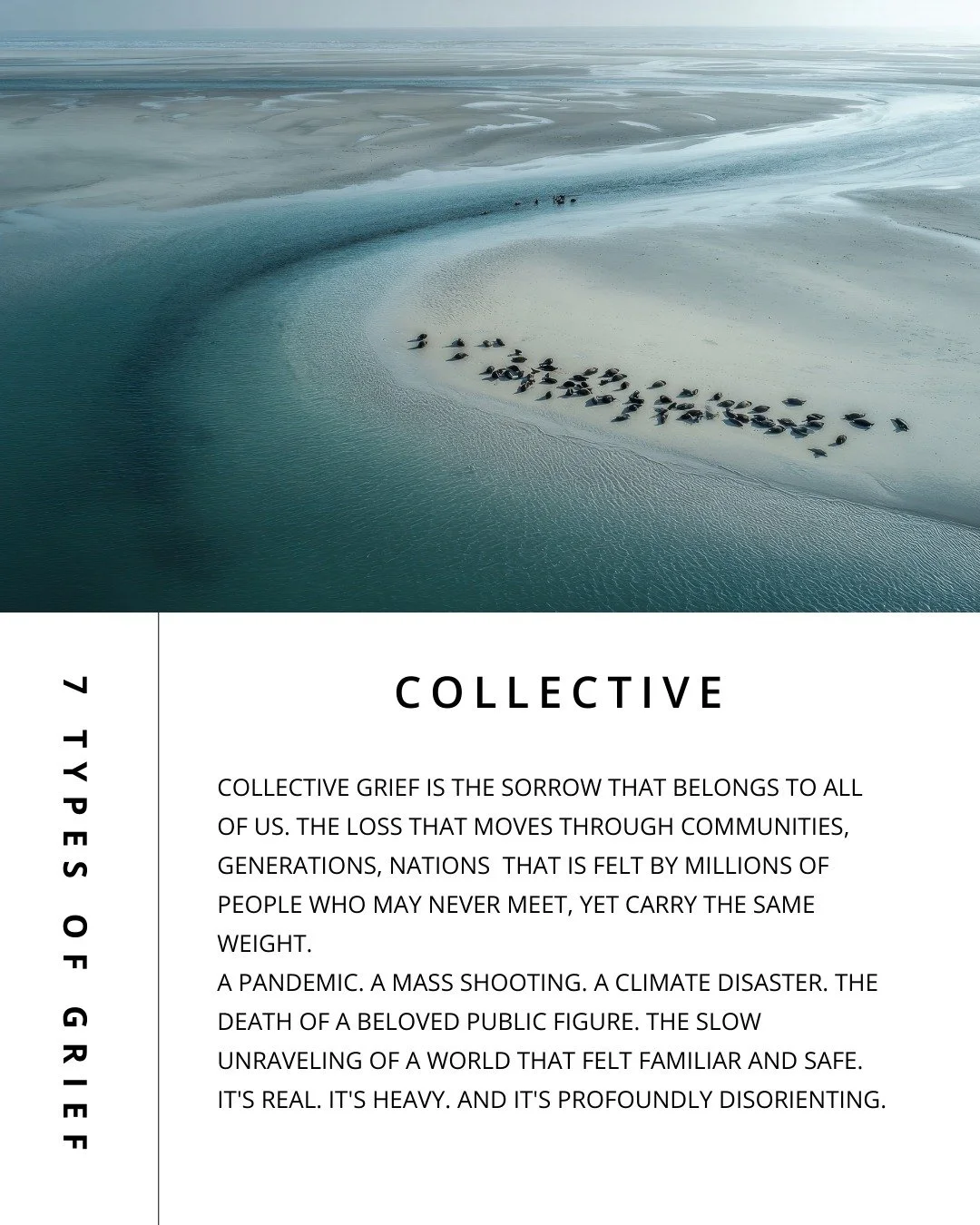 💭Did you know there are 7 types of grief?💭

Grief is not one size fits all. It shows up in many ways, and every experience is valid.

Collective grief is the sorrow that belongs to all of us. 

The loss that moves through communities, generations, 