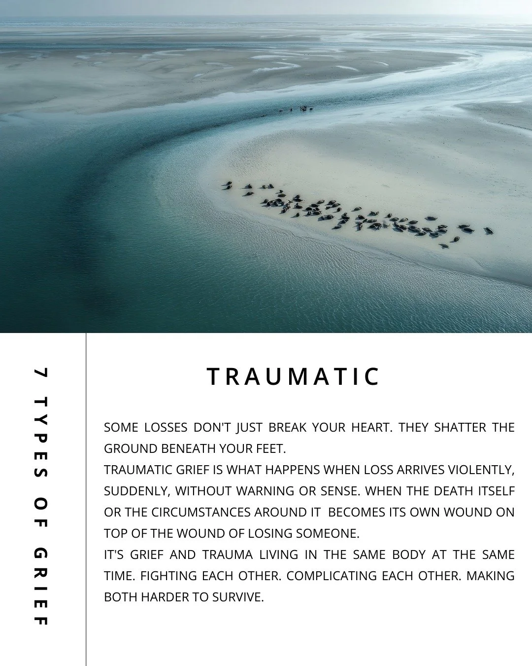 💭Did you know there are 7 types of grief?💭

Grief is not one size fits all. It shows up in many ways, and every experience is valid.

Some losses don't just break your heart. 

They shatter the ground beneath your feet.
Traumatic grief is what happ