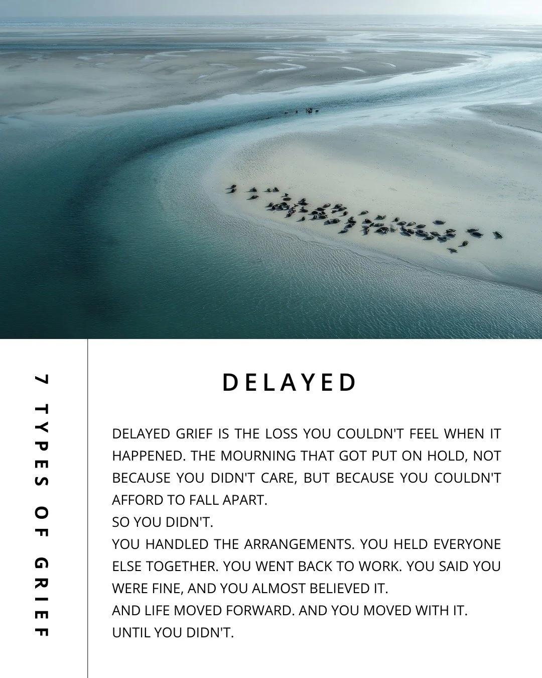 💭Did you know there are 7 types of grief?💭

Grief is not one size fits all. It shows up in many ways, and every experience is valid.

Delayed grief is the loss you couldn't feel when it happened. 

The mourning that got put on hold, not because you