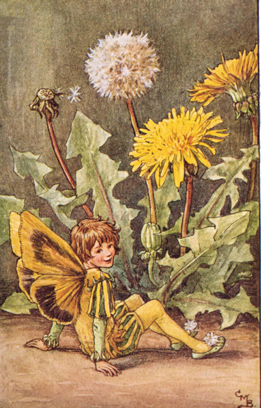 blossom and dandelions