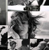 Voices from the field: Silvia Van Aken