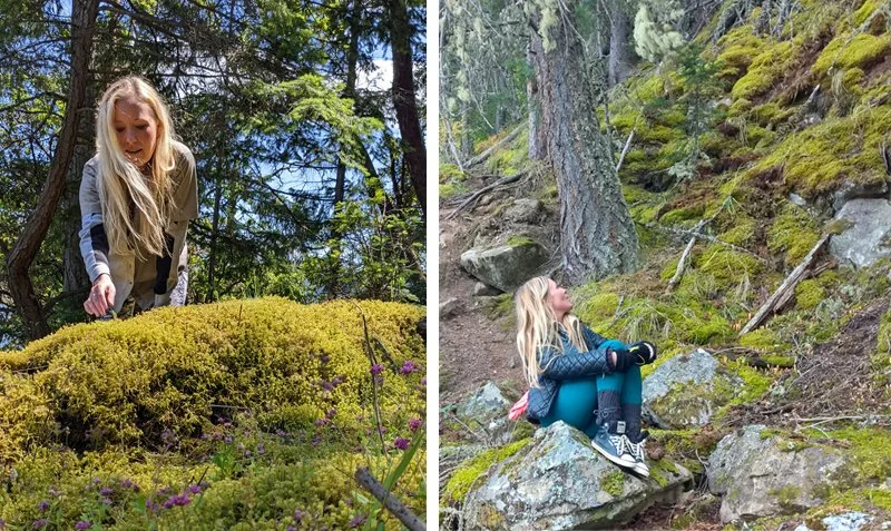 Can trees cure stress & anxiety? My ‘Forest Bathing’ Experiment