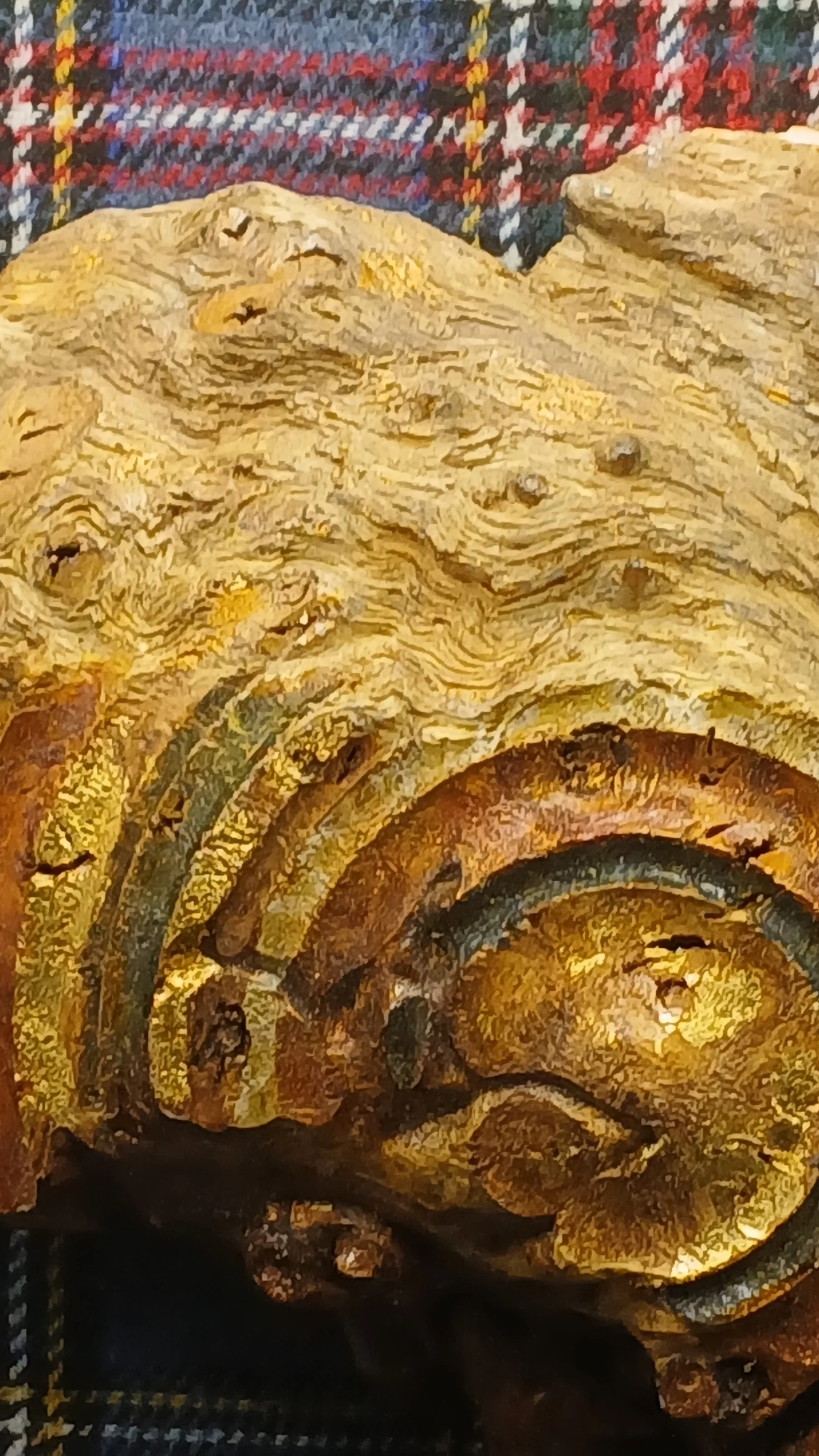 Decorative Burr Oak Shield