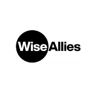 Video Power - Wise Allies logo.png