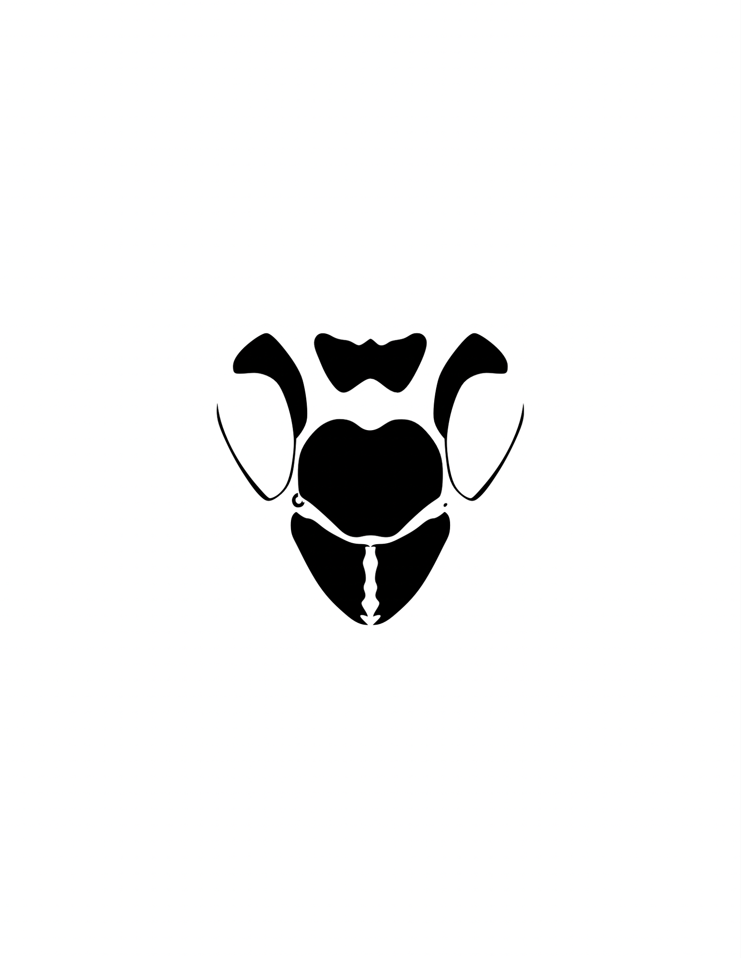 BLACK HIVE WRESTLING CLUB