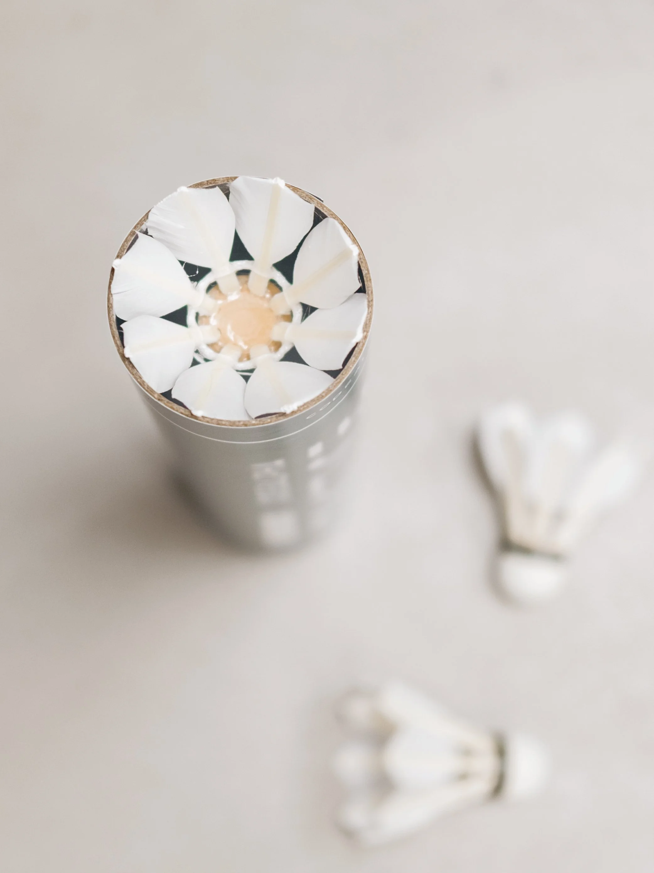 CODEALPHA Shuttle Web-14.jpg