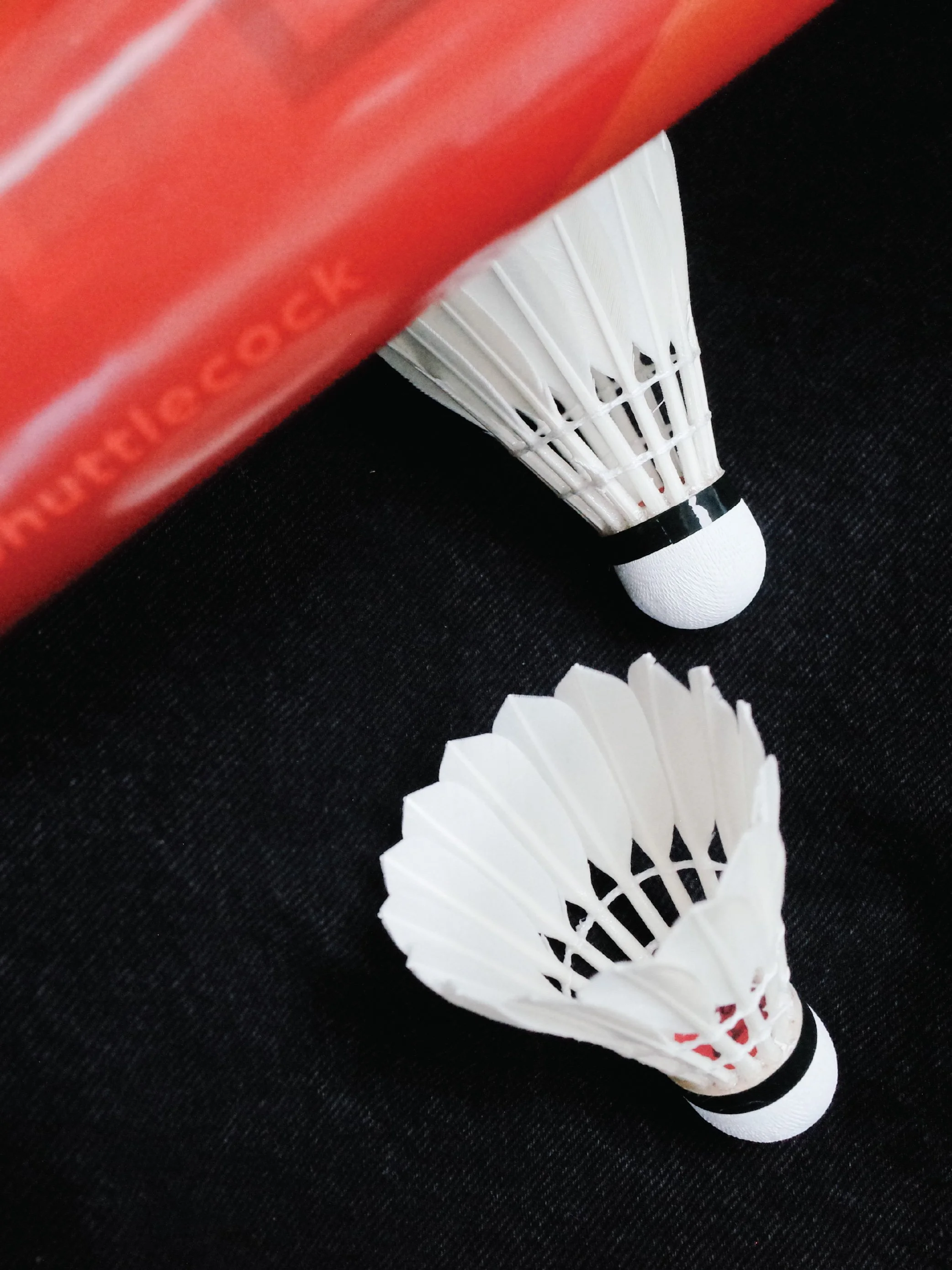CODEALPHA Shuttlecock L05 78 Cover 02.jpg