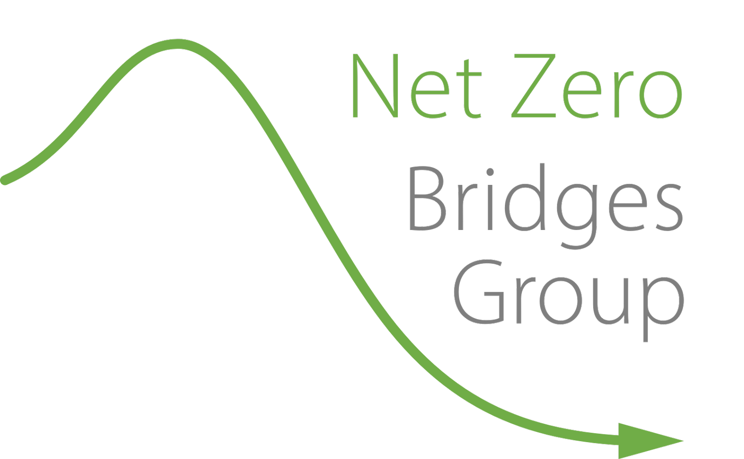Net Zero Bridges Group