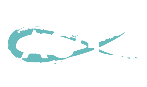 ACG WIEN