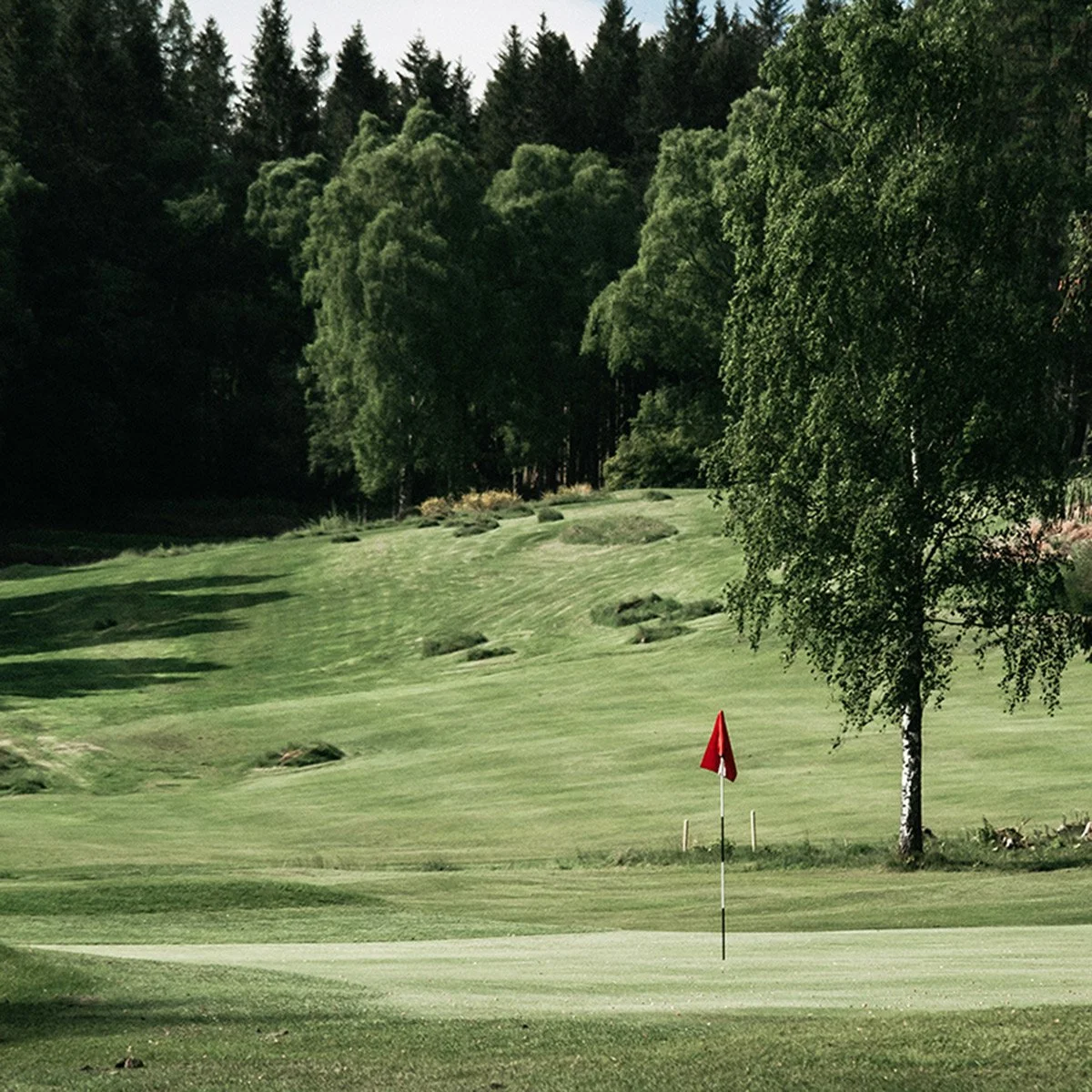 Comrie-7th-1200.jpg