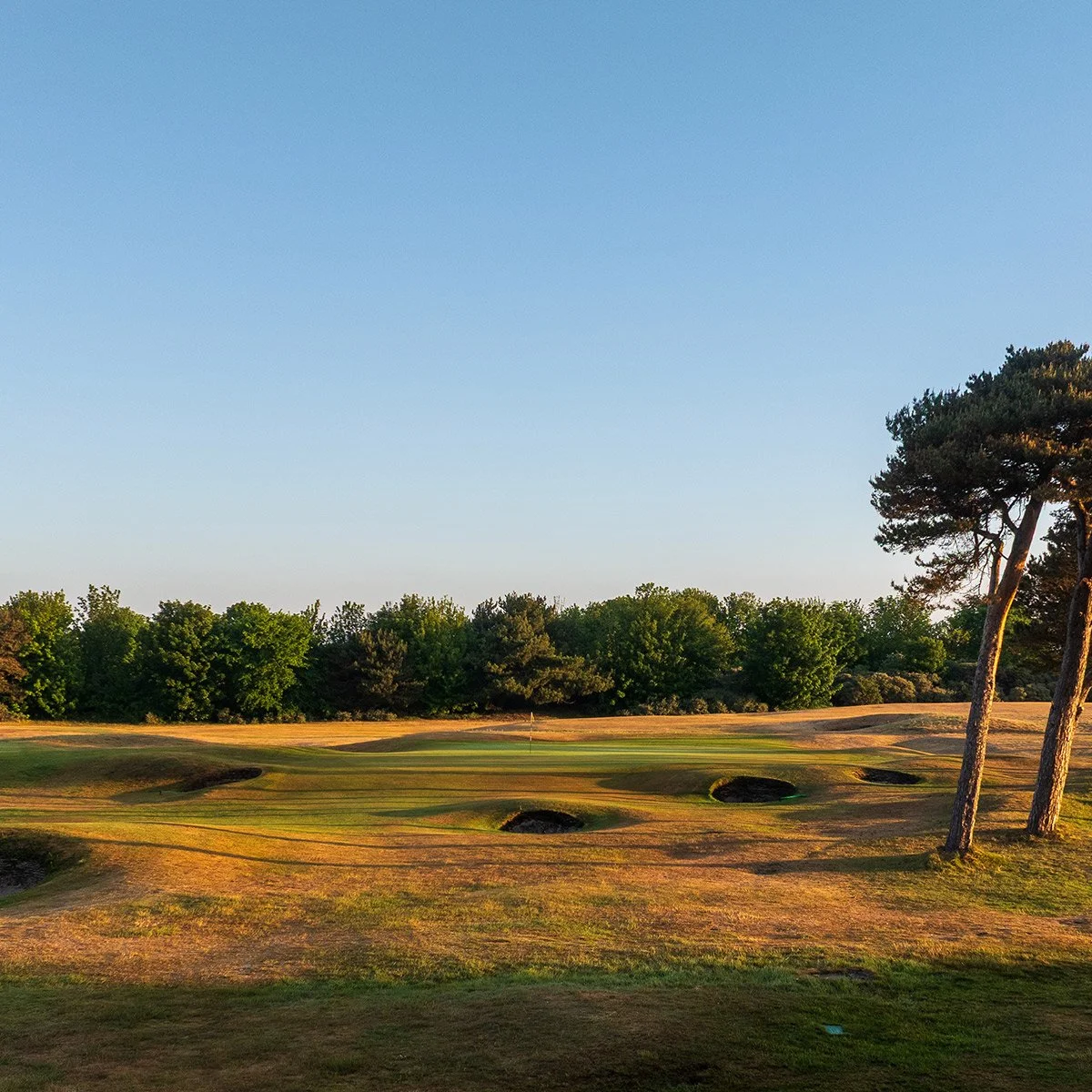 Longniddry_1457-society-1200x1200.jpg
