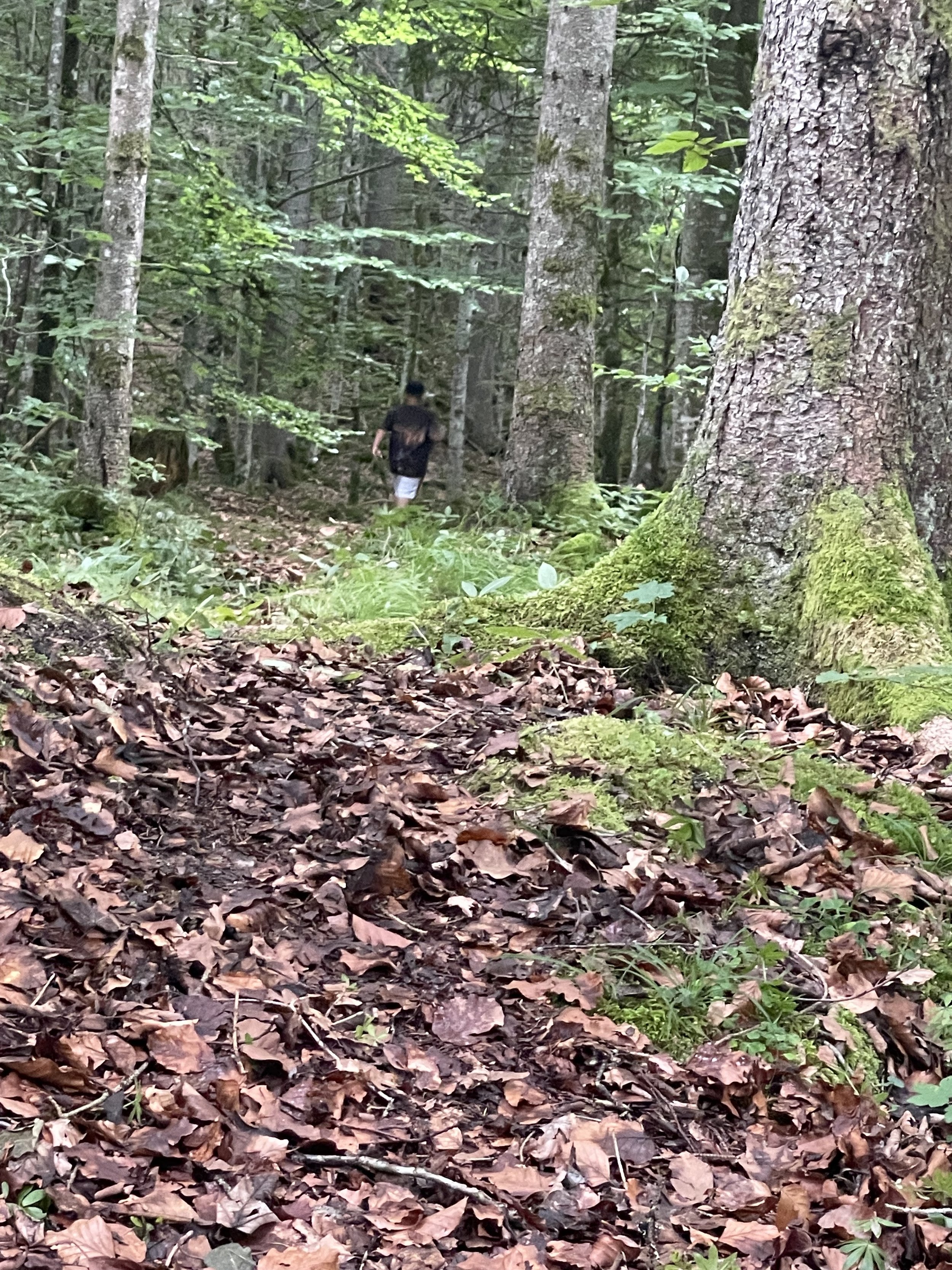 Grundlsee_2023 (37).jpeg