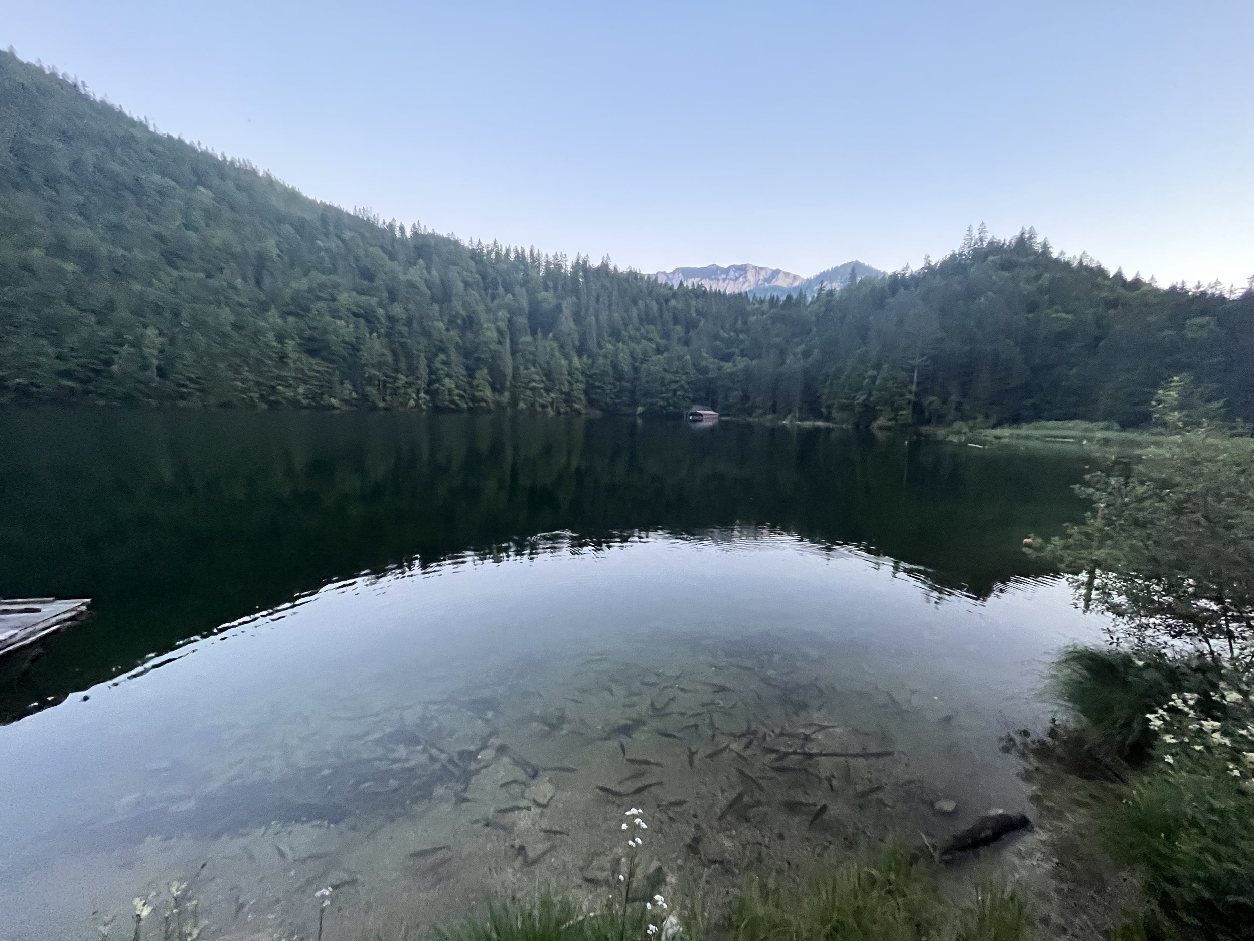 Grundlsee_2023 (29).jpeg