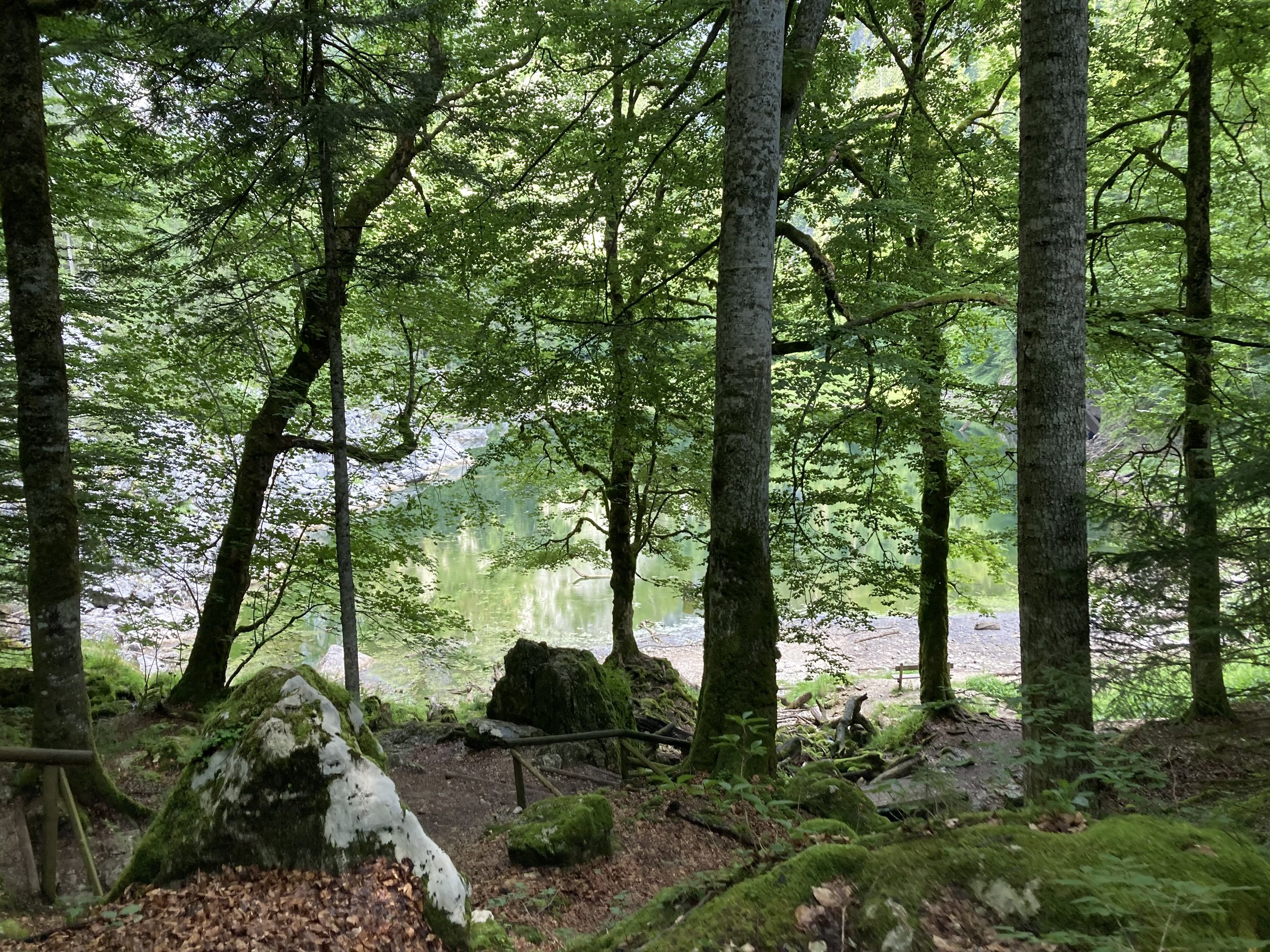 Grundlsee_2023 (17).jpeg