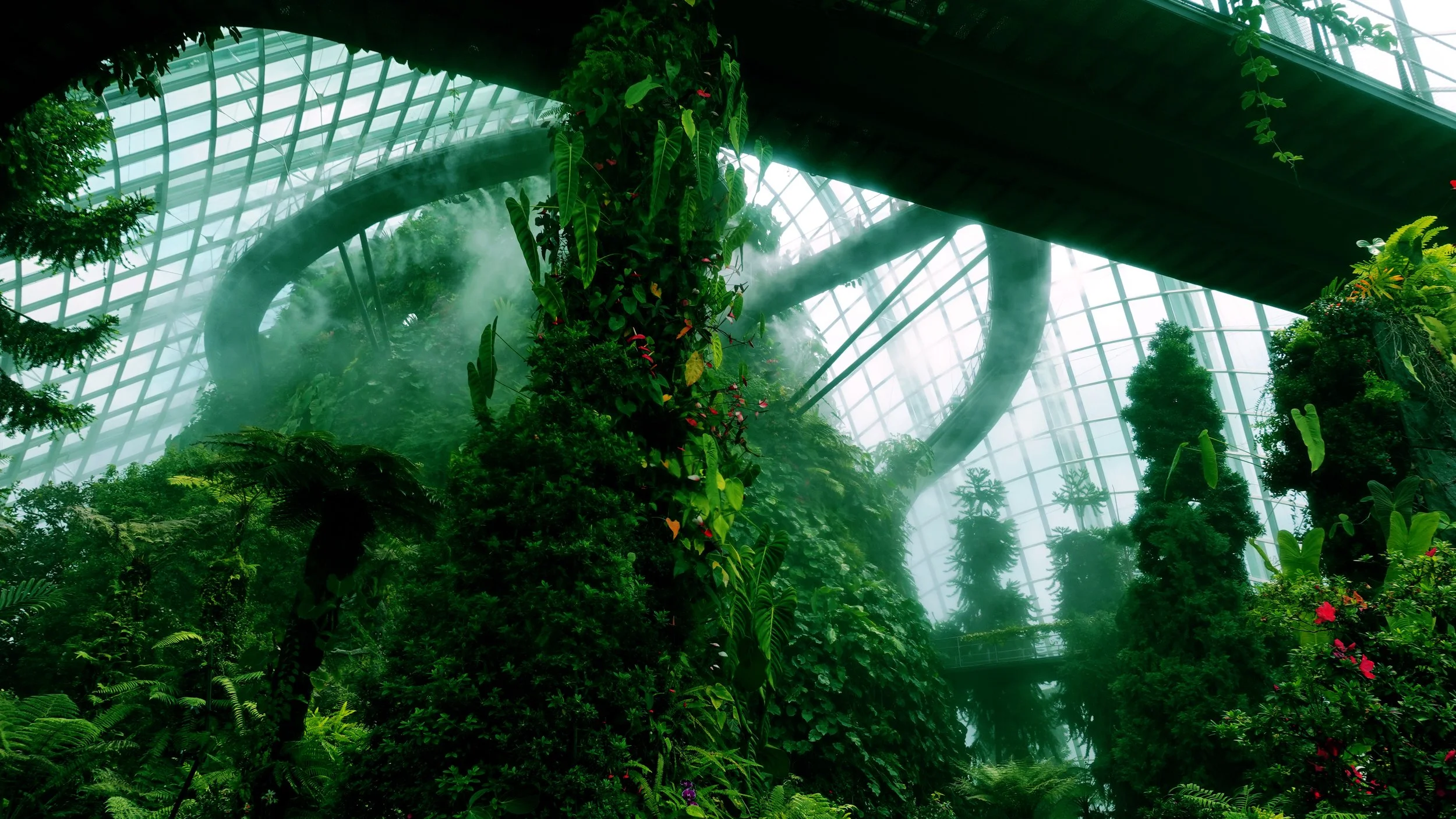 image for website 1.jpg