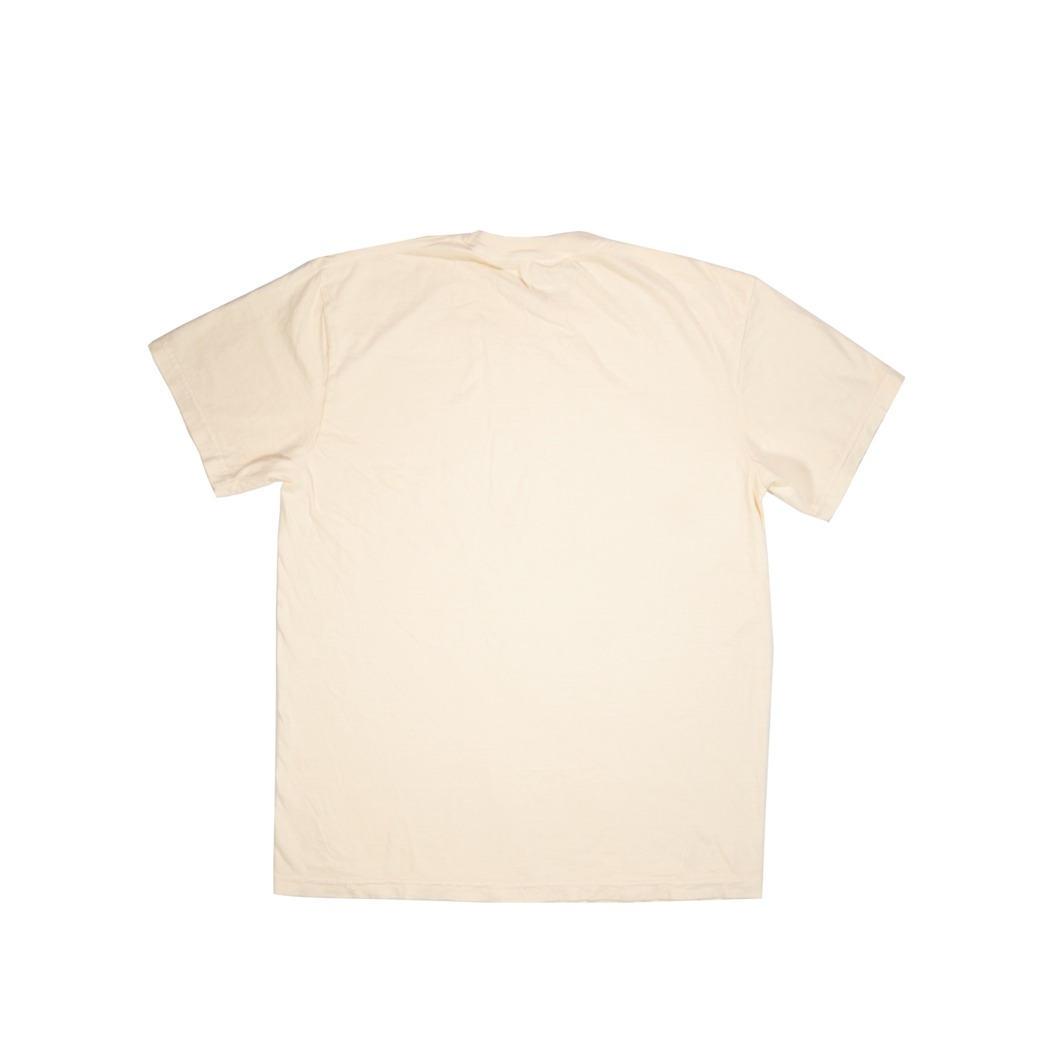 Sydney's Store Builder - 2026-09-28T160943.545.png