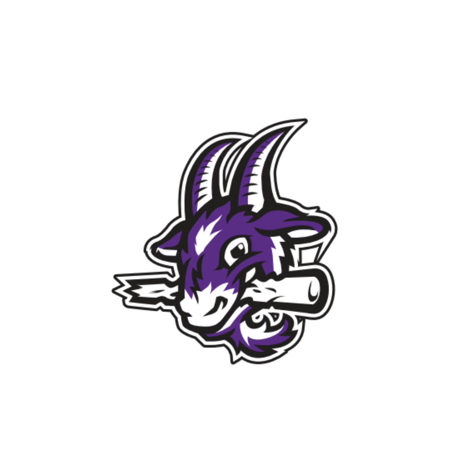 BASEBALL WAREHOUSE FULL BUTTON JERSEY [YARD GOATS]