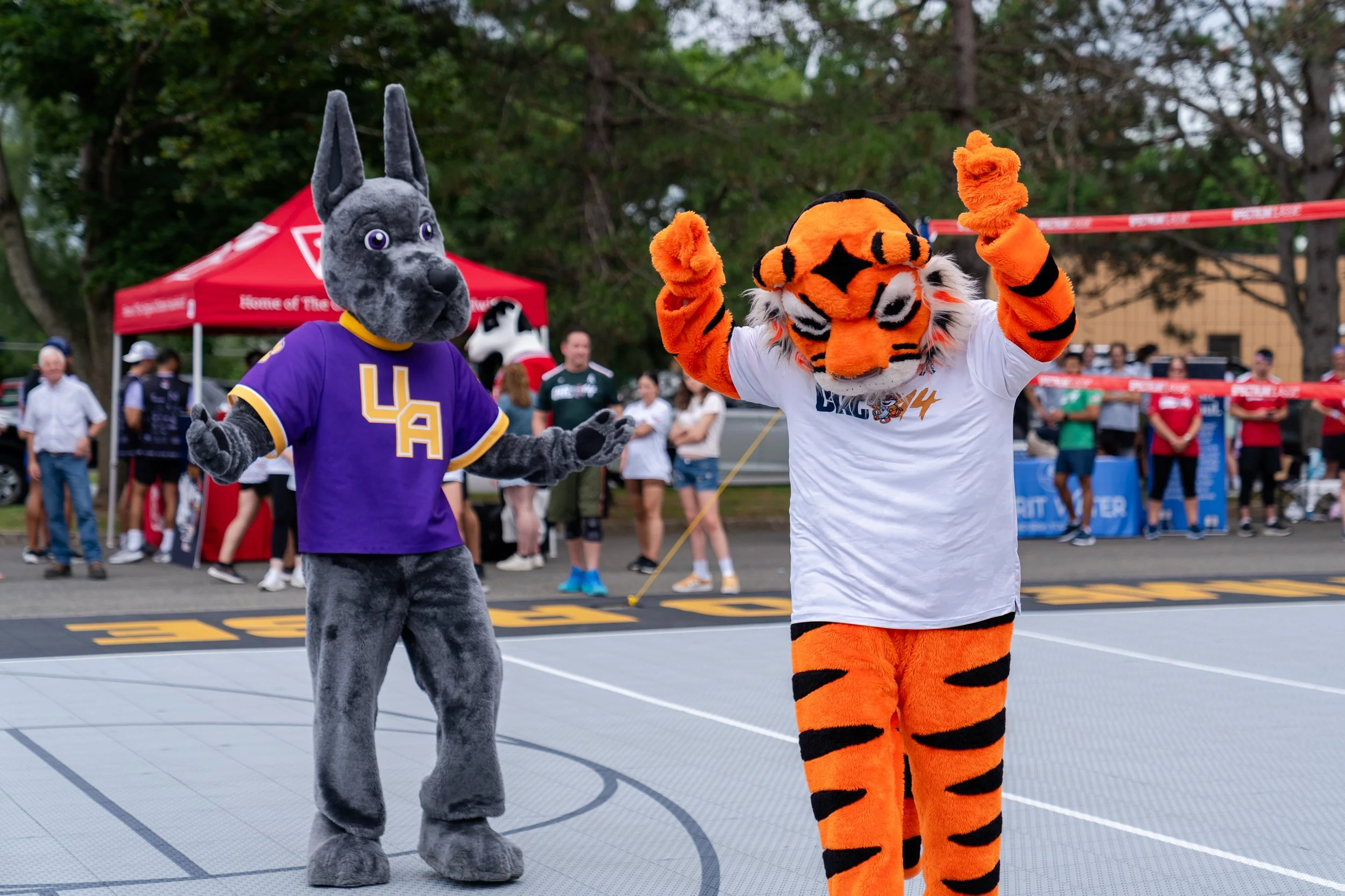 The CAT14 20240711-41.jpg