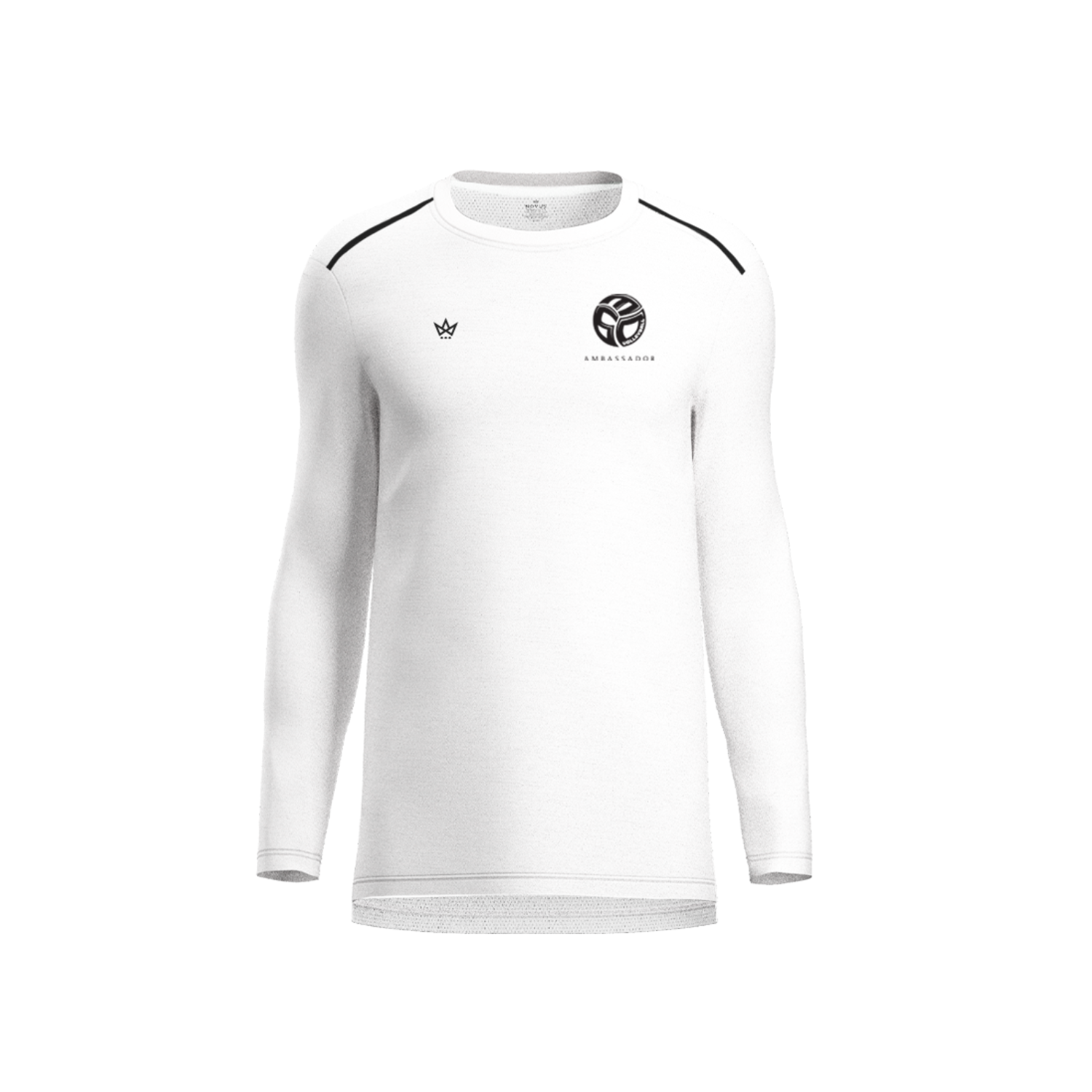 630 VOLLEYBALL AMBASSADOR AURA LS