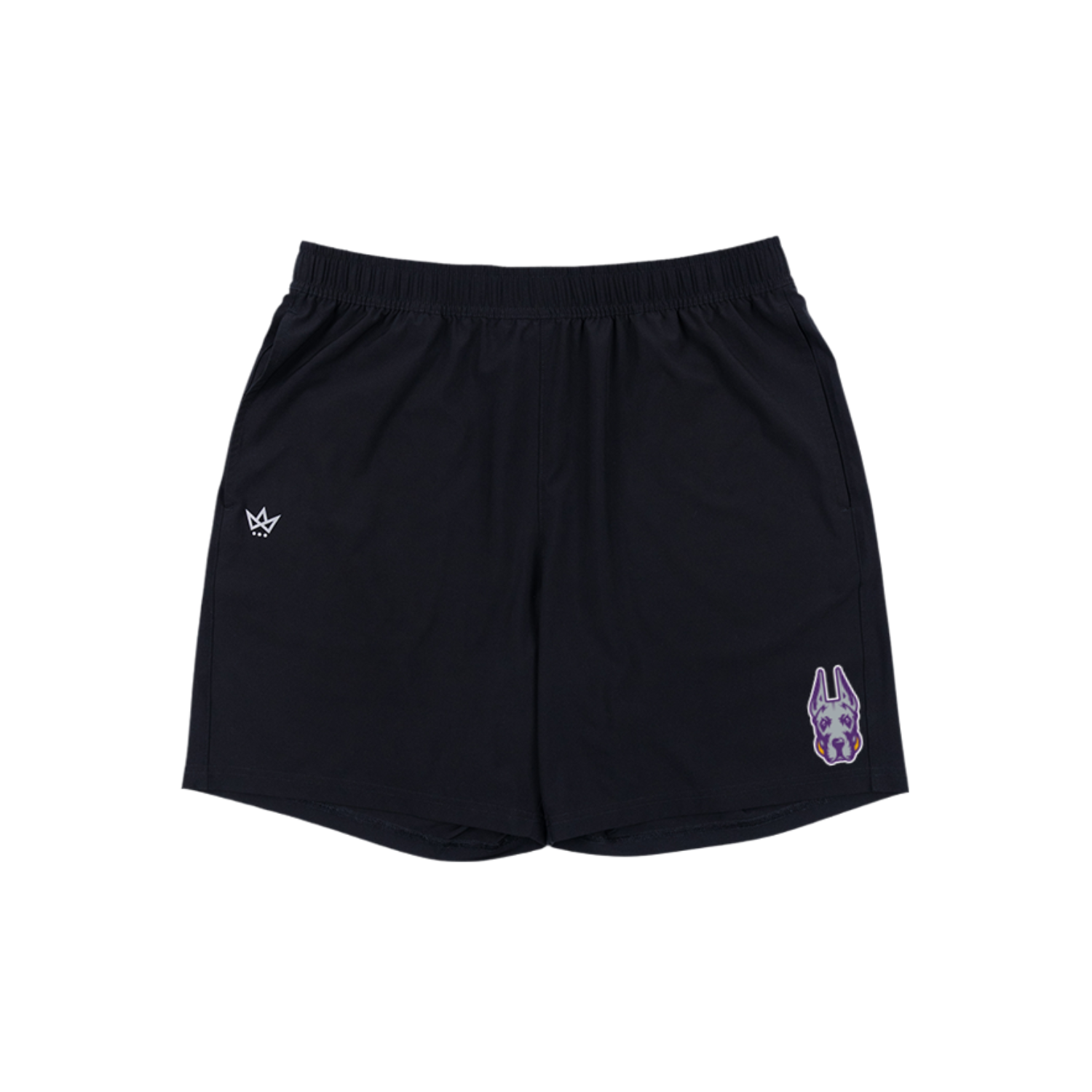 UALBANY ATHLETICS GOLF 2026 TOURNAMENT ASCENSION SHORT - ONYX