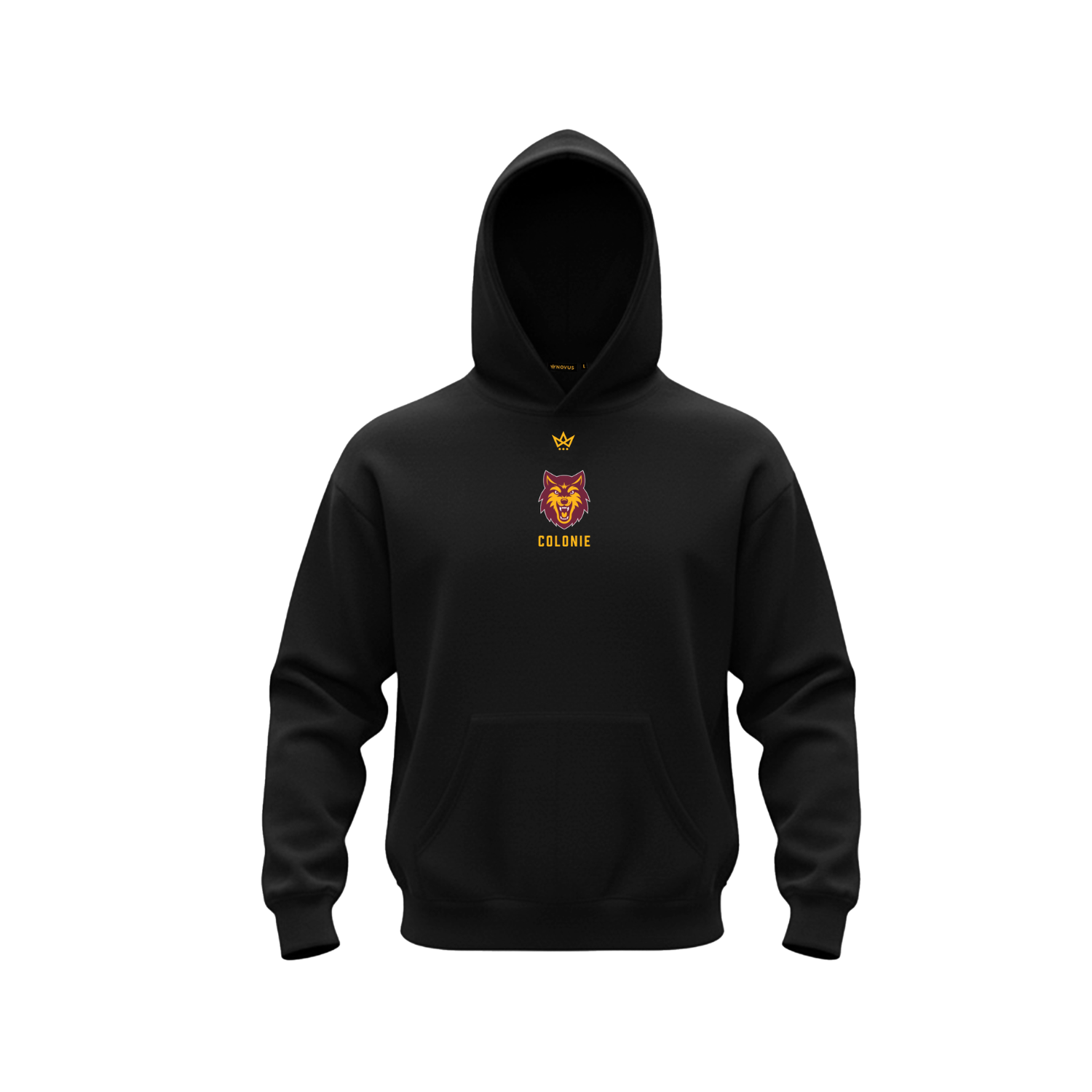 SOUTH COLONIE SCHOOL DISTRICT ACCESS COTTON FLEECE HOODIE