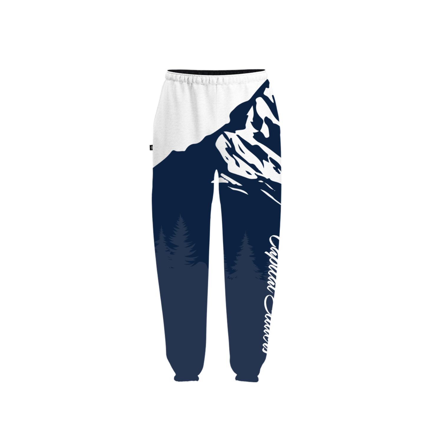 CAPITAL SLIDERS VOLLEYBALL SUB PERFORMANCE FLEECE JOGGERS