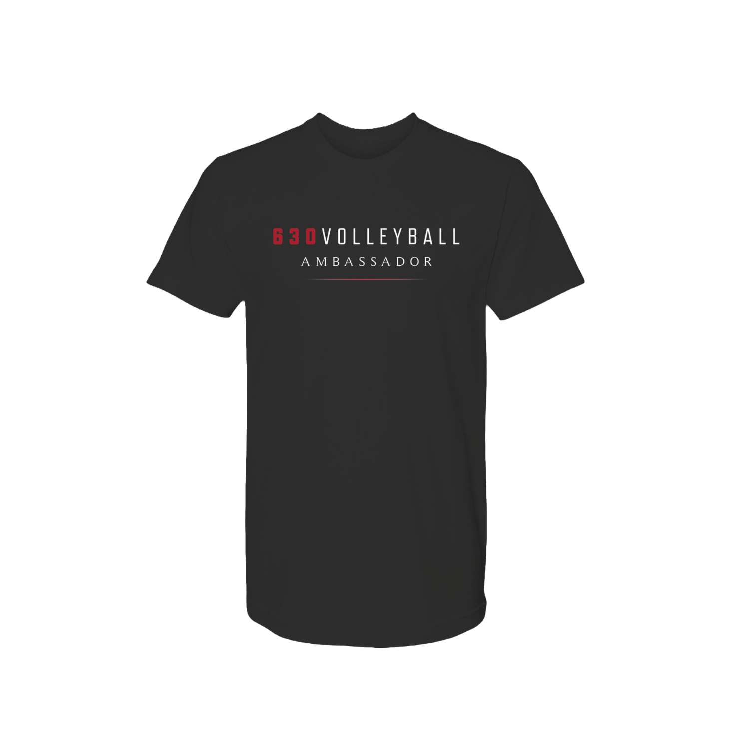 630 VOLLEYBALL AMBASSADOR BASIC COTTON SS TEE