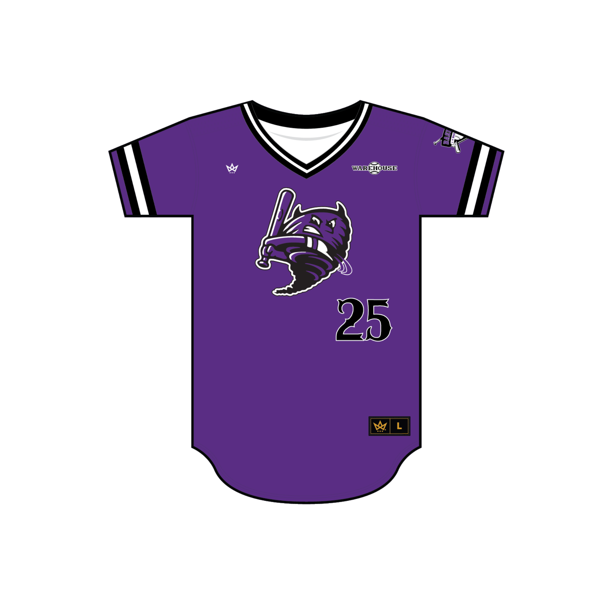 BASEBALL WAREHOUSE DUST DEVILS BASEBALL V-NECK JERSEY [PURPLE]