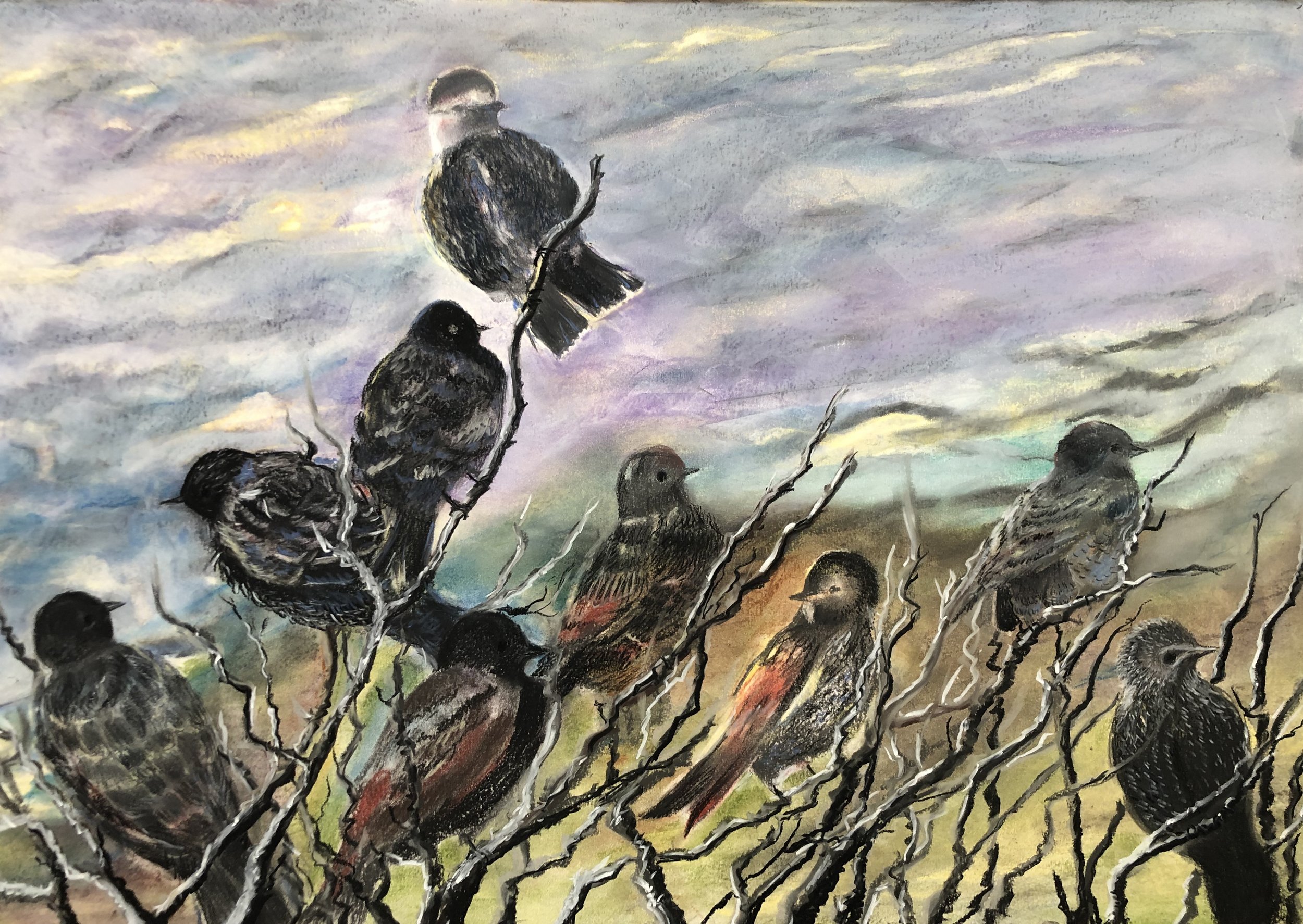 Starlings in the Wind.jpg