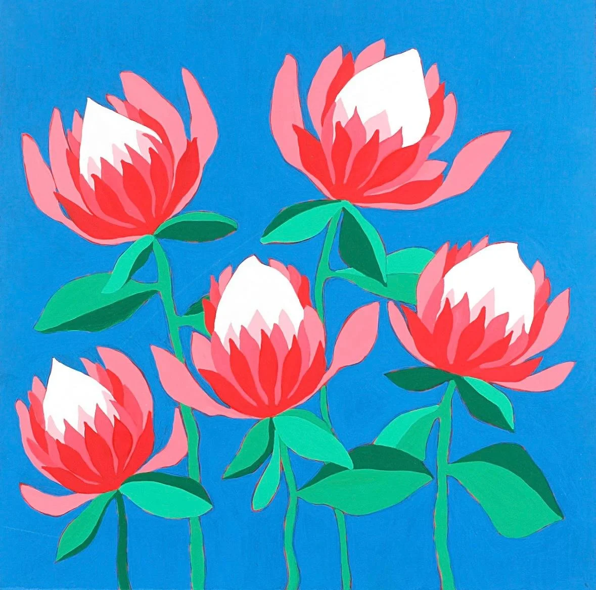 Kates Bates Proteas.jpeg