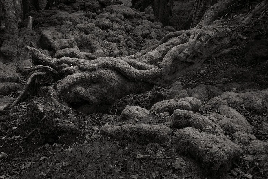 2025 10 Sleeping Giant.jpg