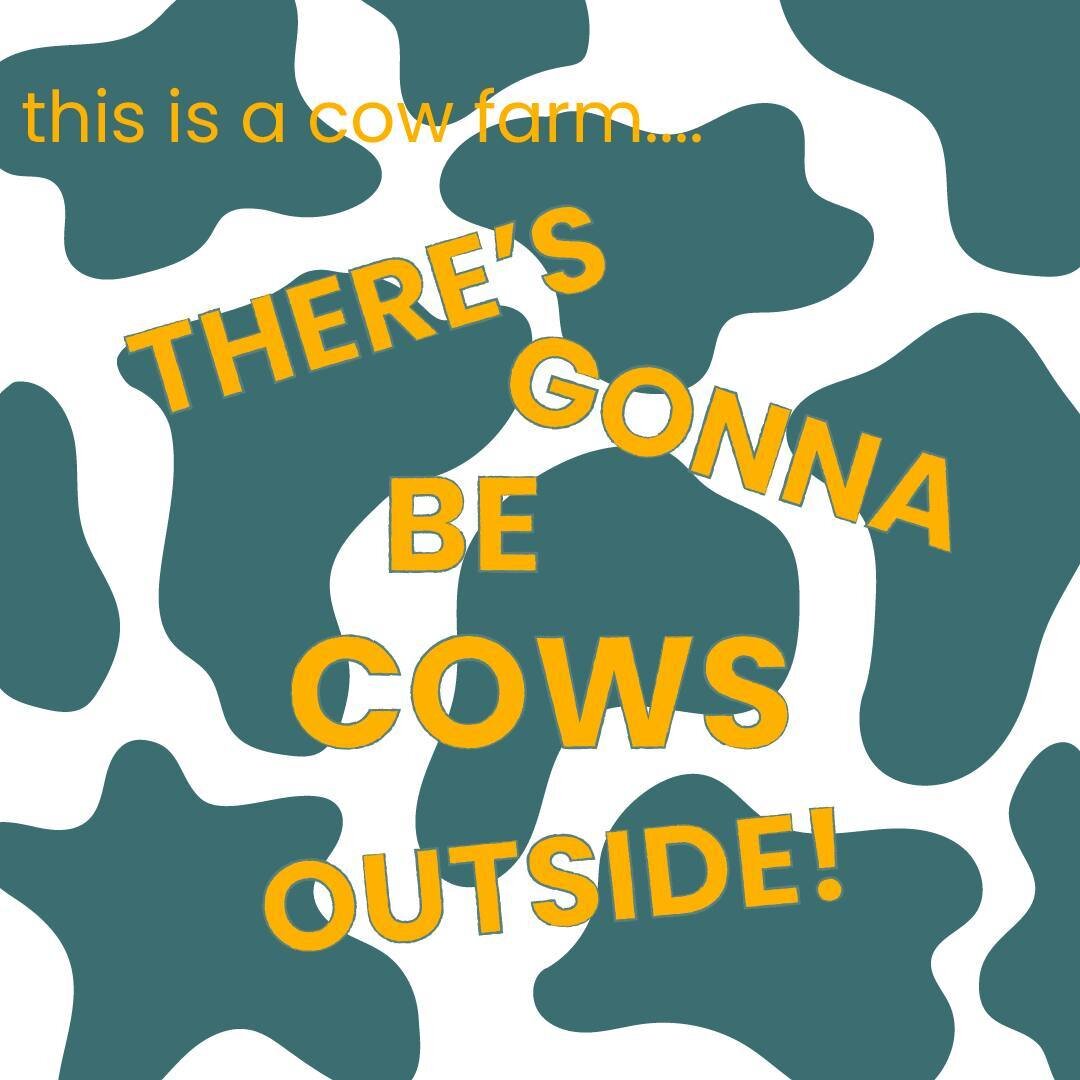 Randal! There is a cow outside! 🐄⁠
⁠
.⁠
.⁠
.⁠
#graphicdesign #designer #adobecreativesuite #typography #design #graphicdesigner #adobe #digitalart #indy #indianapolis #indydesigner #indygraphicdesigner