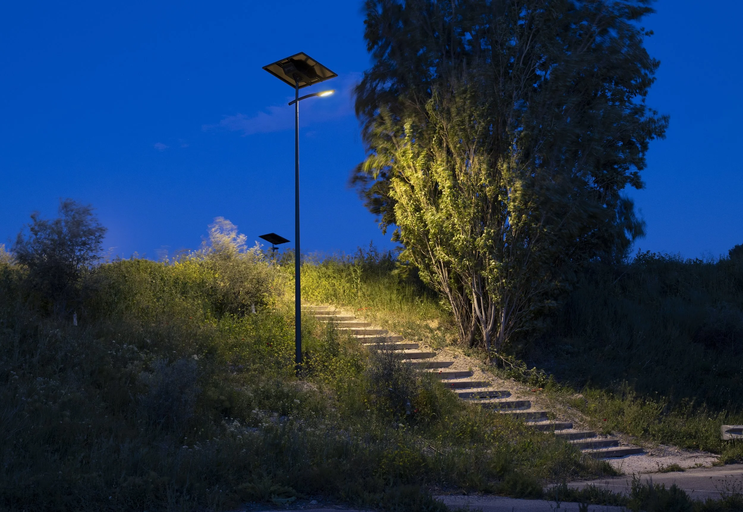 Marseille - Client : Fonroche