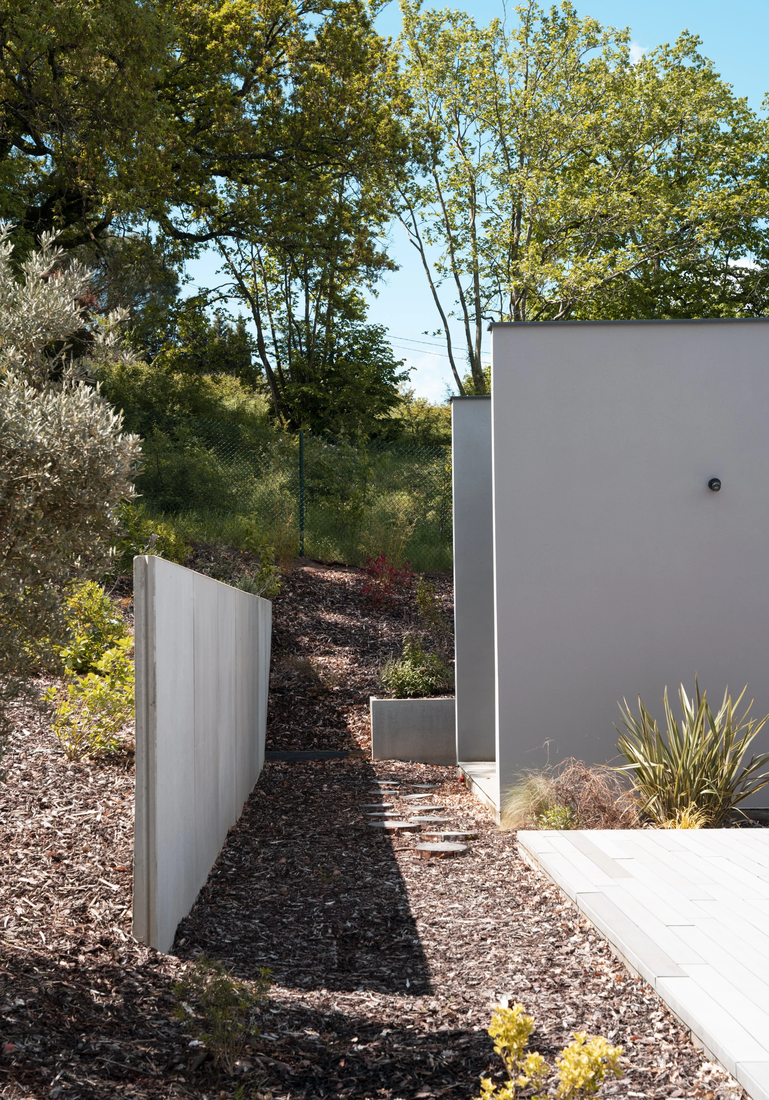 Vue d'une cour moderne avec un mur blanc, un chemin étroit, des plantes d'ornement, et des arbres en arrière-plan sous un ciel bleu clair.