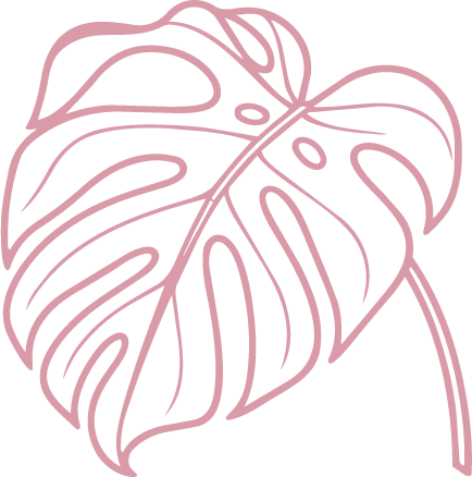 Pink outline illustration of a monstera leaf on a black background