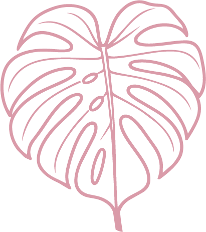 Pink line-art monstera leaf on a black background