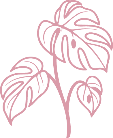 Pink line-art illustration of a tropical monstera plant with three leaves on a black background