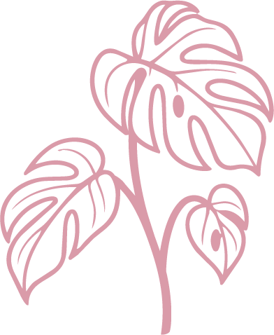 Pink line-art illustration of a tropical split-leaf philodendron plant with three leaves on a black background