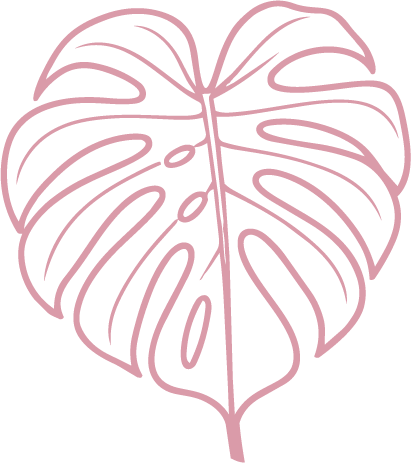 Pink line-art monstera leaf on a white background