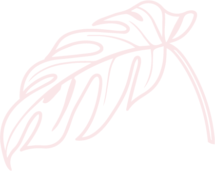 Delicate pale pink line-art illustration of a tropical leaf on a black background