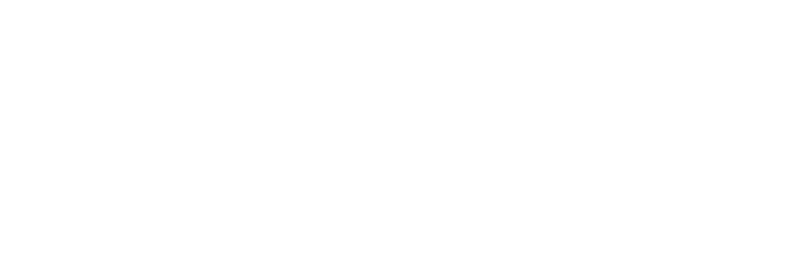 ICN_White.png