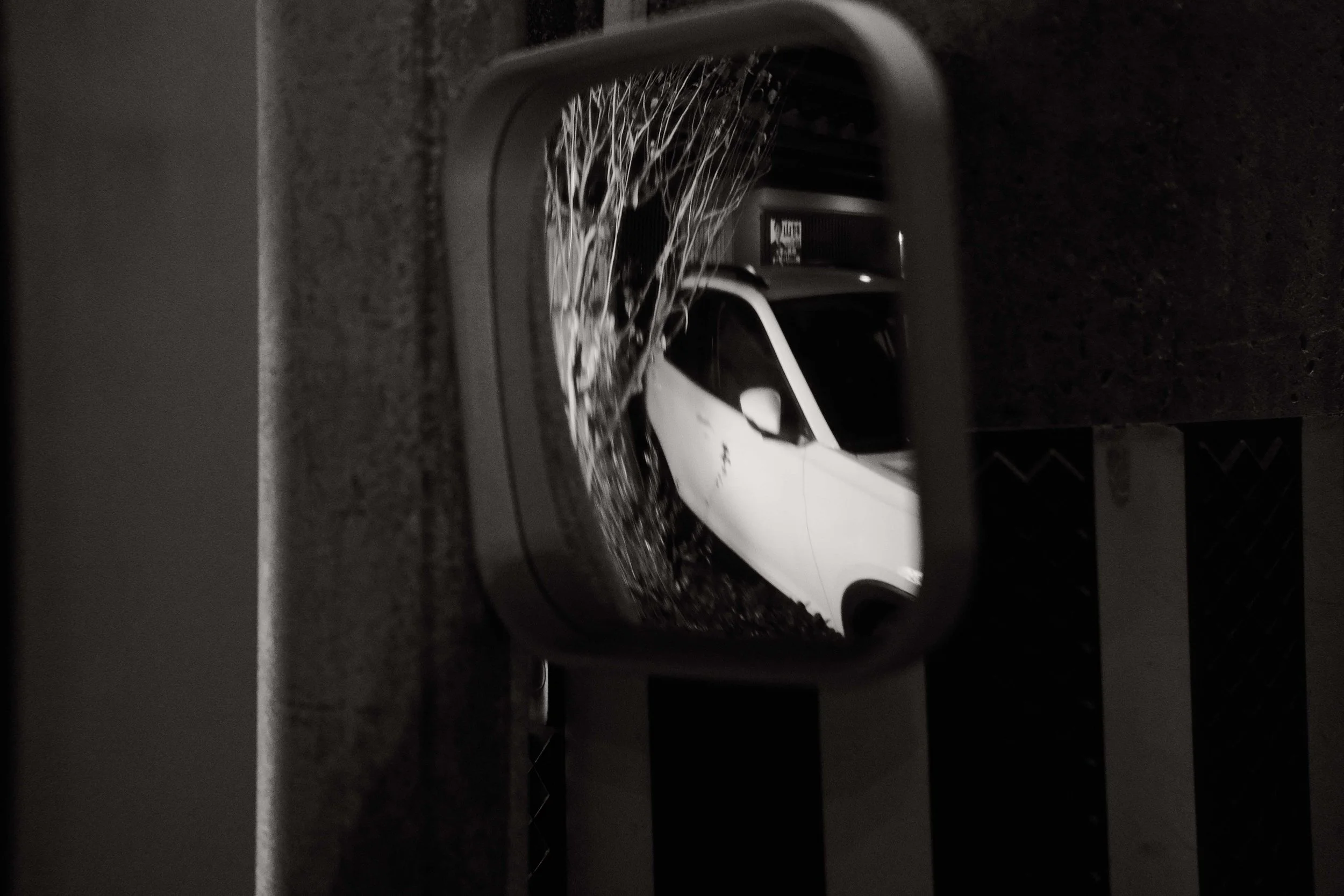 Imports - 17 of 736.jpg