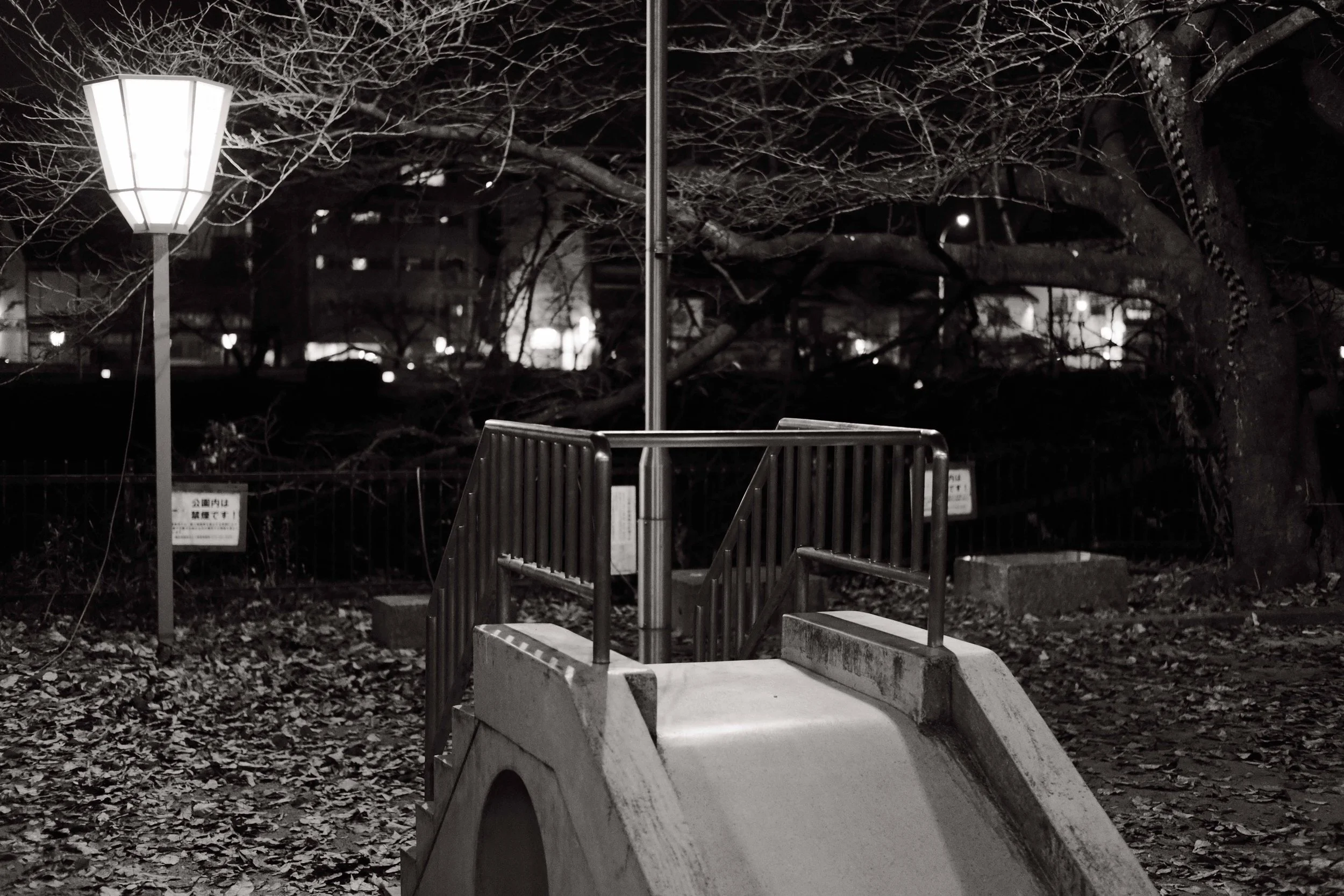 Imports - 40 of 736.jpg