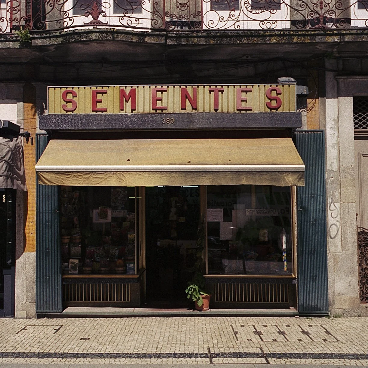 sementes