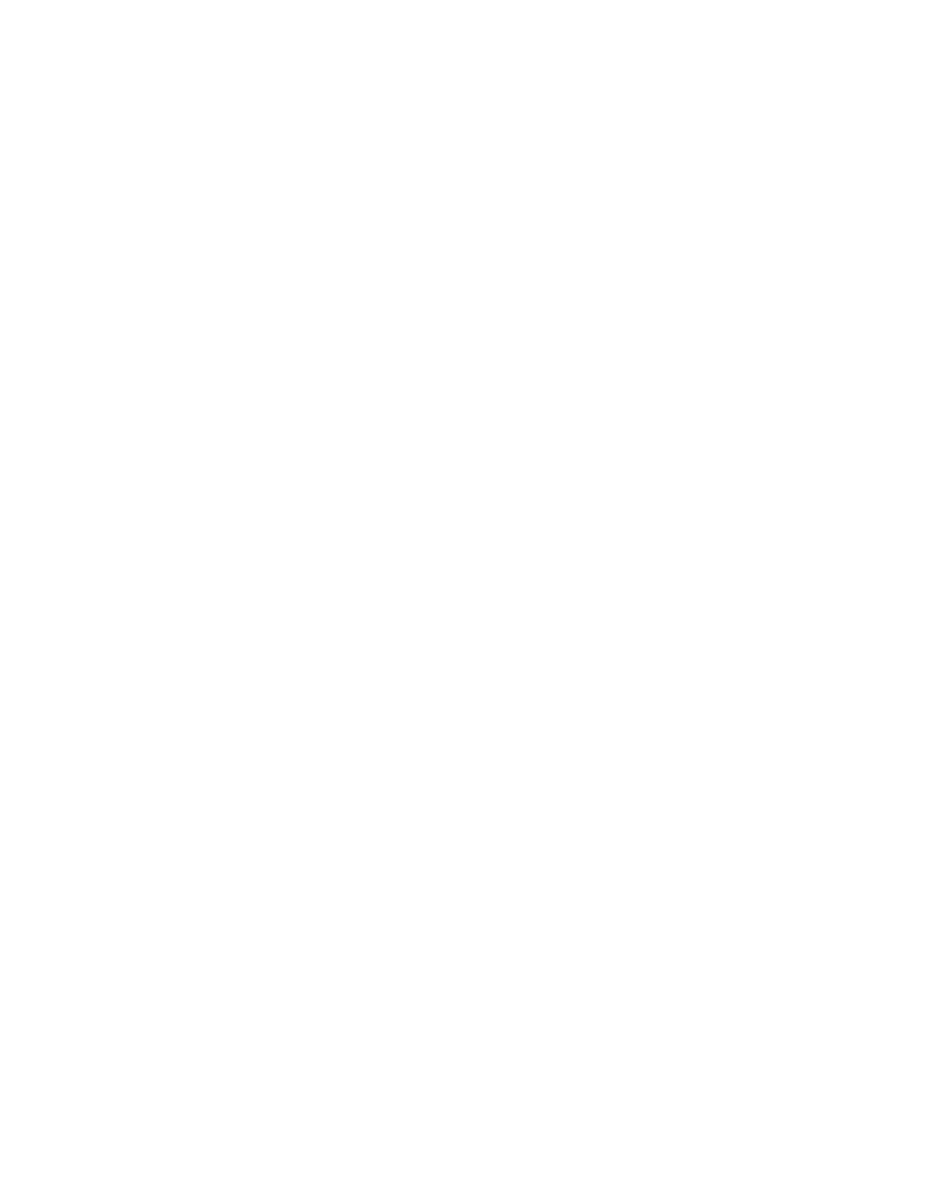 Rally rally