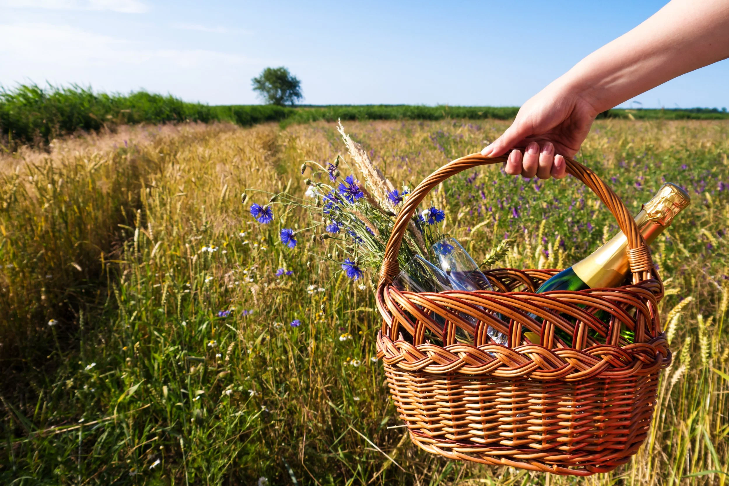 AdobeStock_54333661 3.JPEG